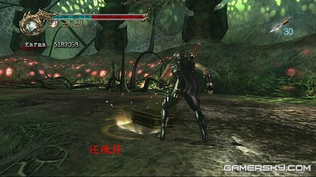 游民星空_忍者龙剑传2