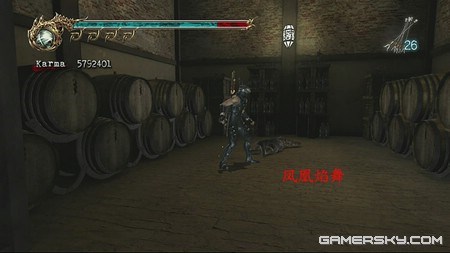 游民星空_忍者龙剑传2